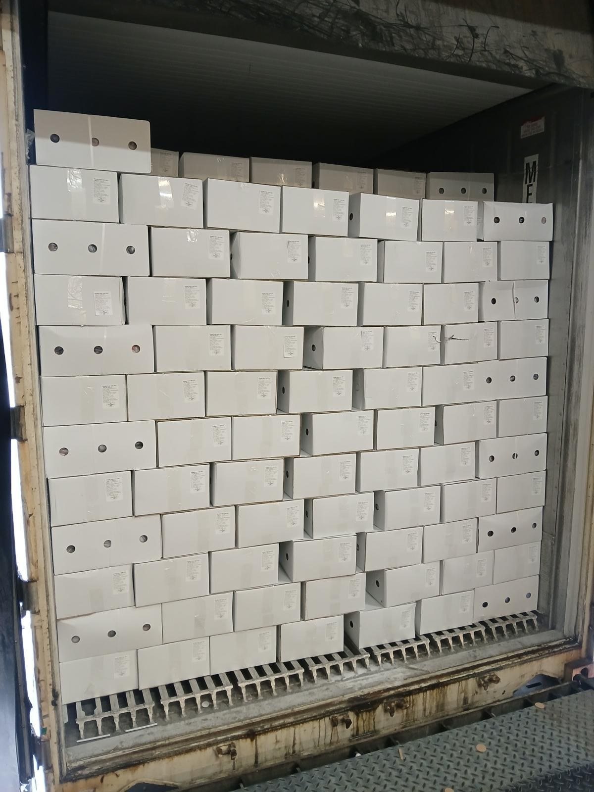 Frozen cartons loaded in a reefer container, EU