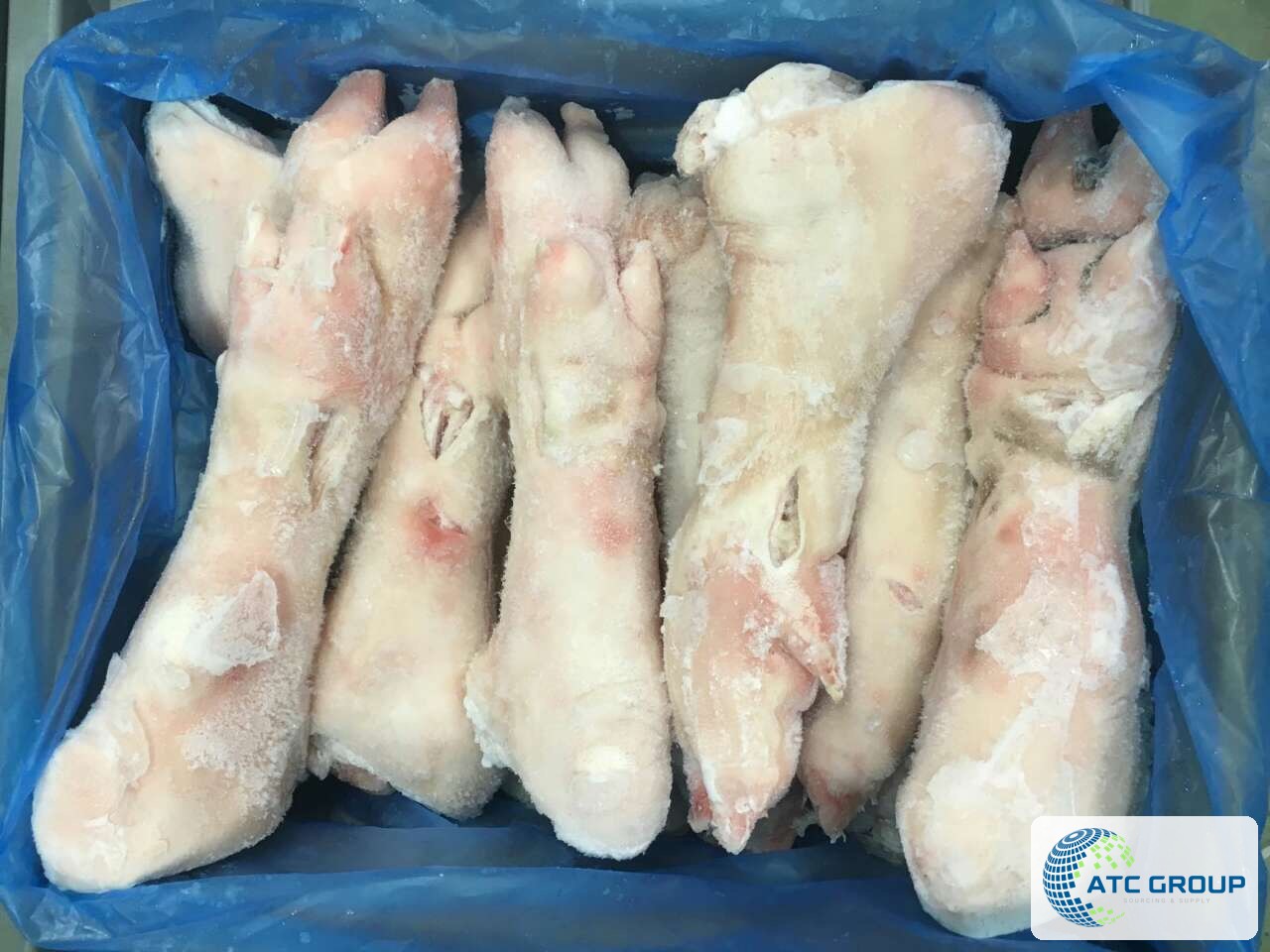 Frozen pork hind feet – detailed product view