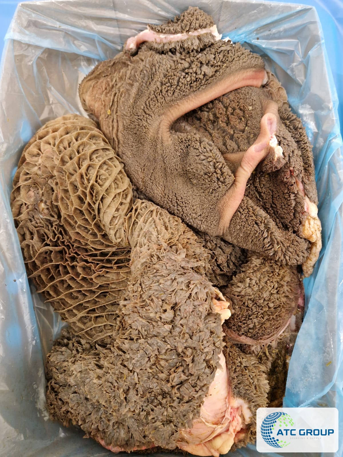 Frozen beef tripe – product view