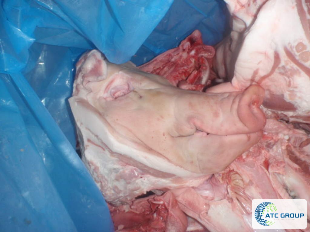 Frozen pork half heads – product view