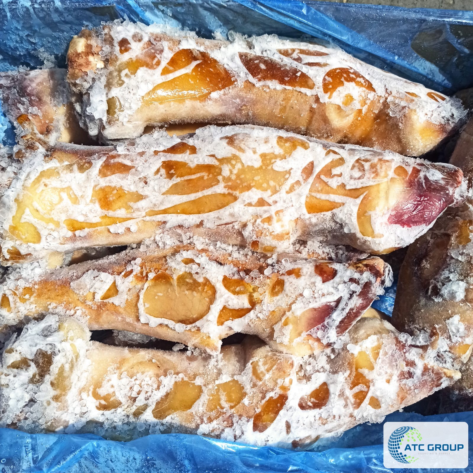 Frozen beef feet, burnt (singed) – product view