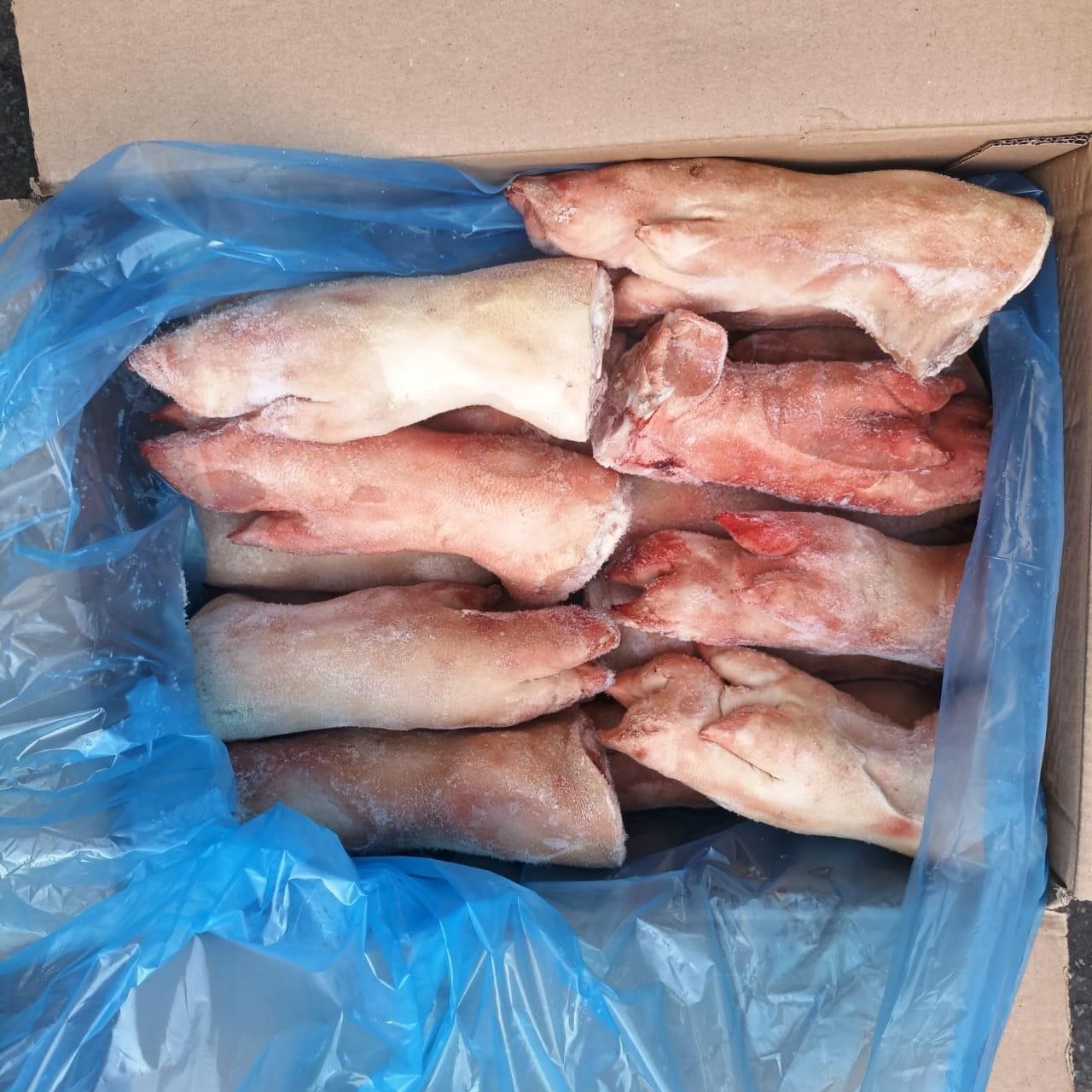 Open carton of frozen pork front feet