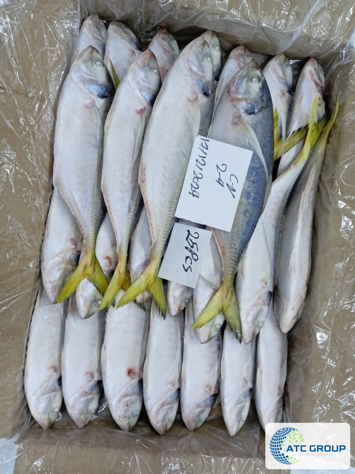 Frozen yellowtail scad – additional product view