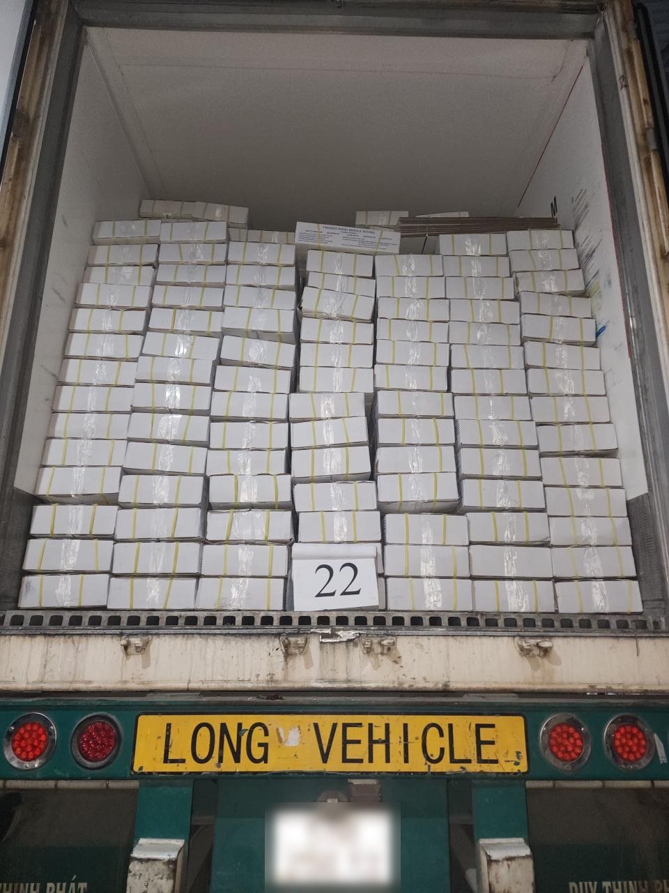 Loading frozen fish, Vietnam, March 2023