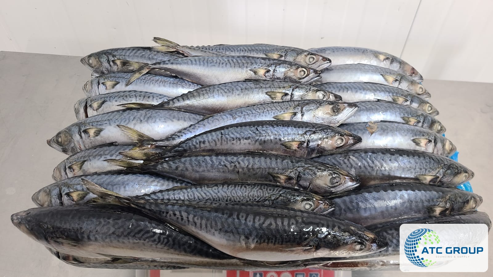 Frozen Pacific chub mackerel – additional product view