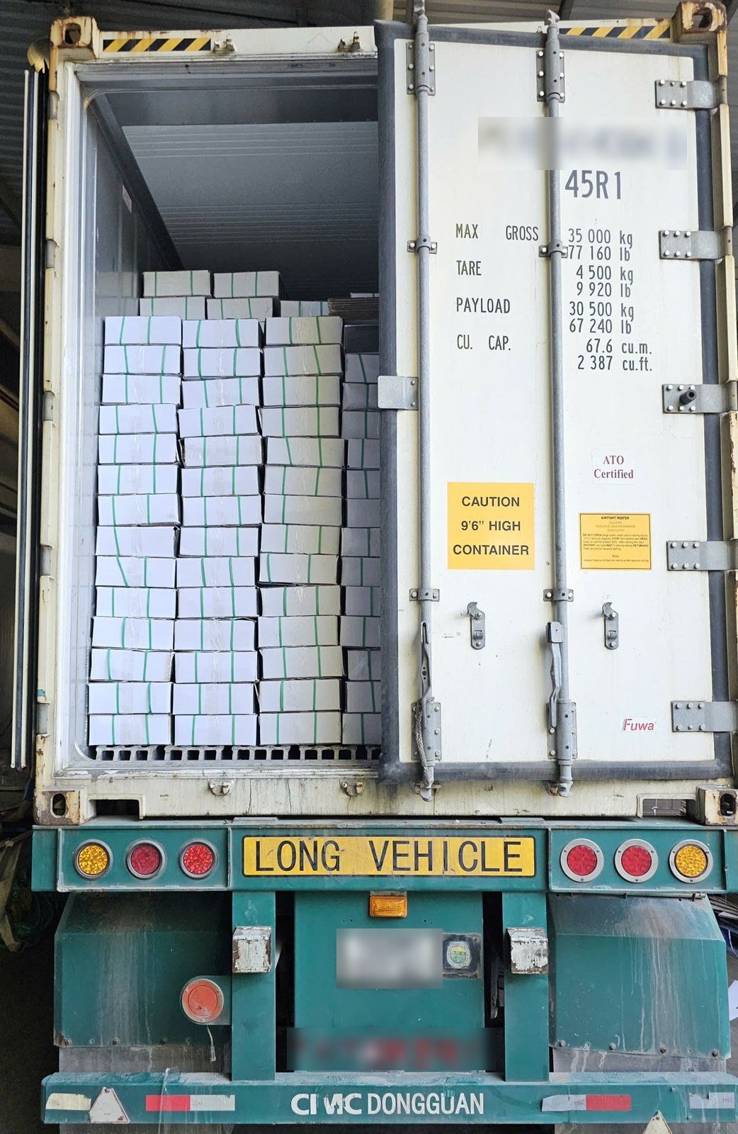 Frozen whole red pacu loaded in a reefer, Vietnam, February 2026