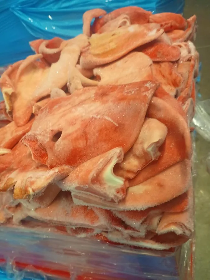Frozen pork ears grade B – illustrative photo 2
