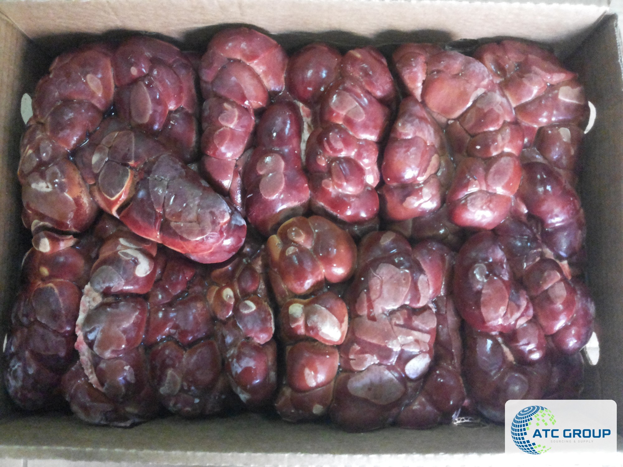 Frozen beef kidneys – product view