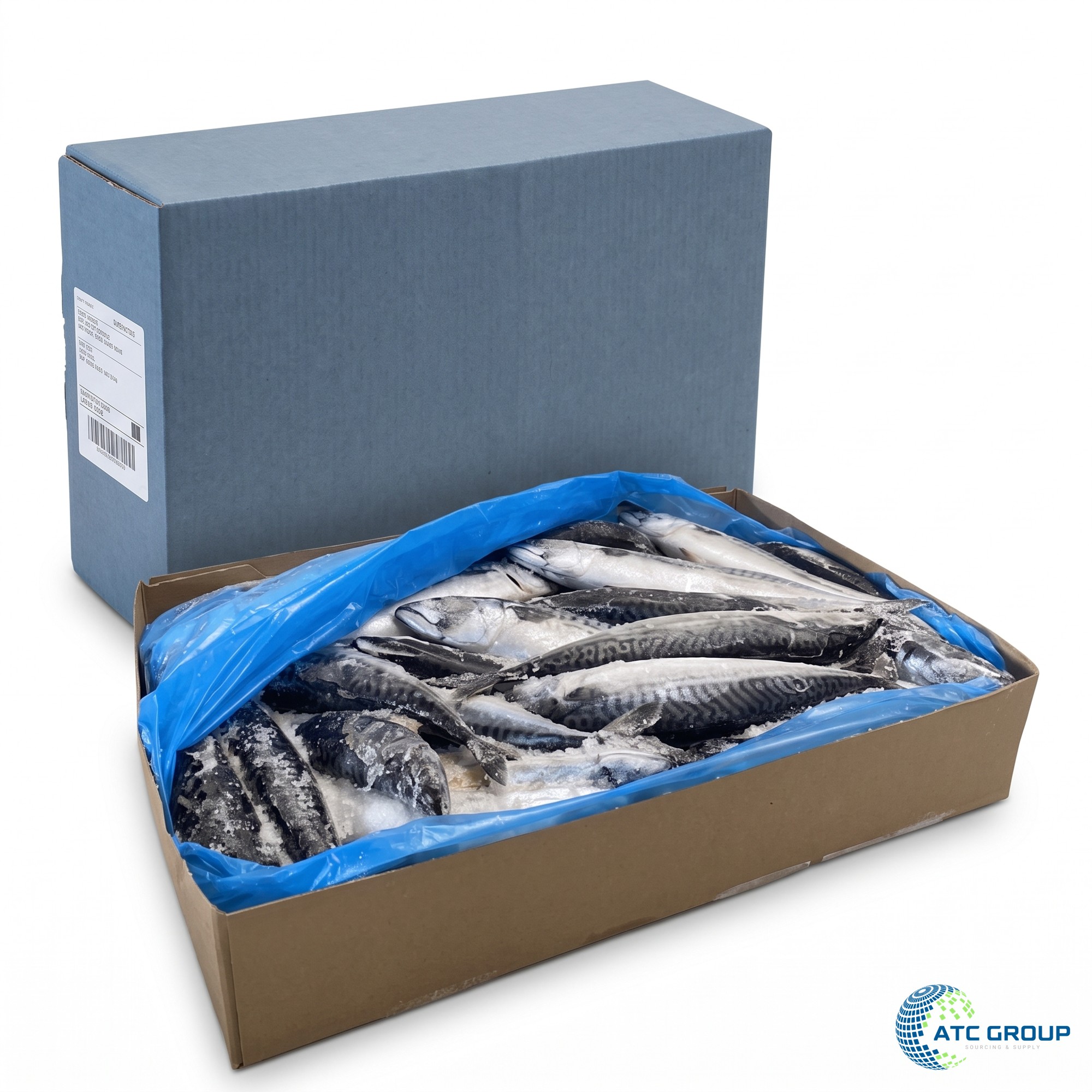 Frozen Atlantic mackerel – export packaging