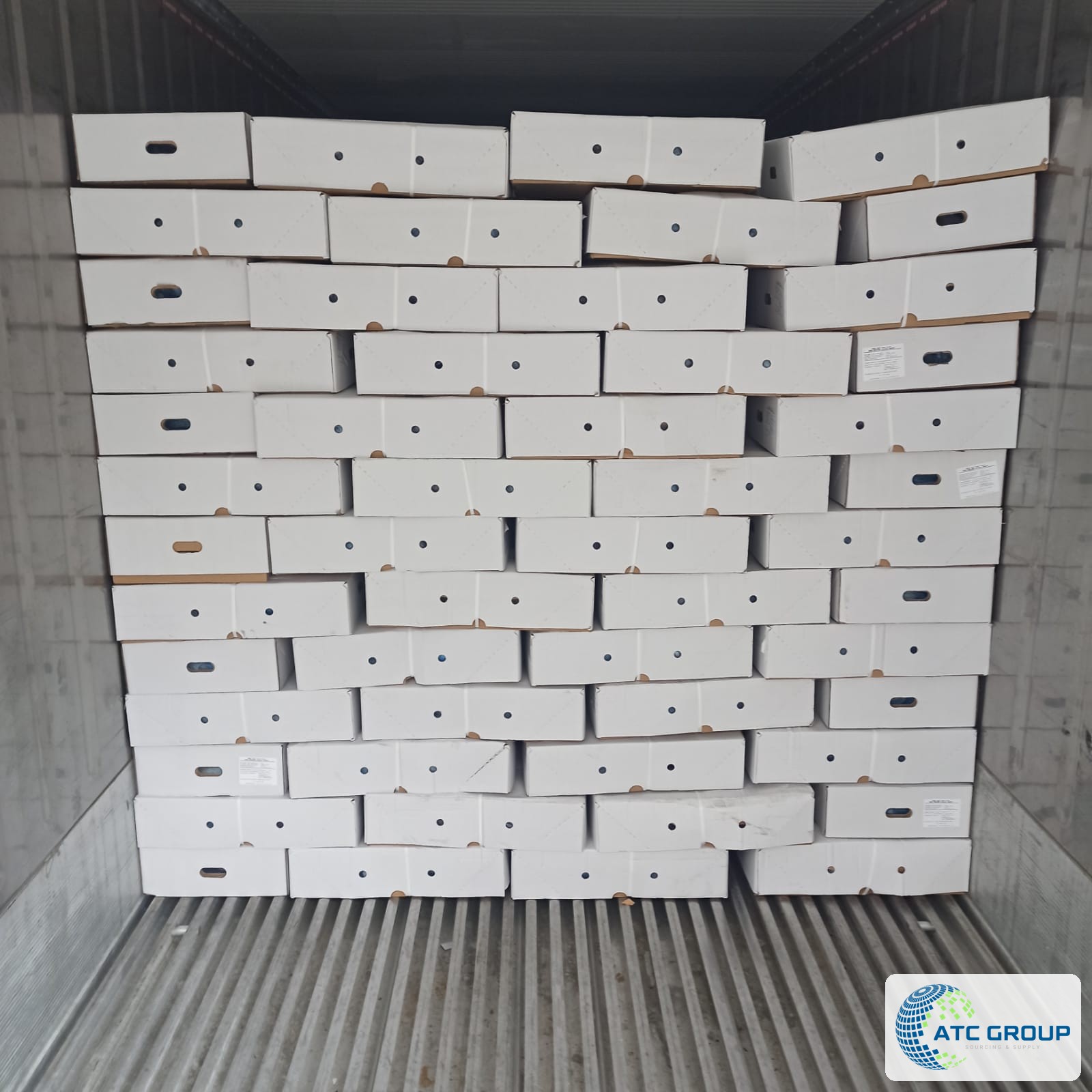 Frozen beef feet, burnt (singed) – export packaging