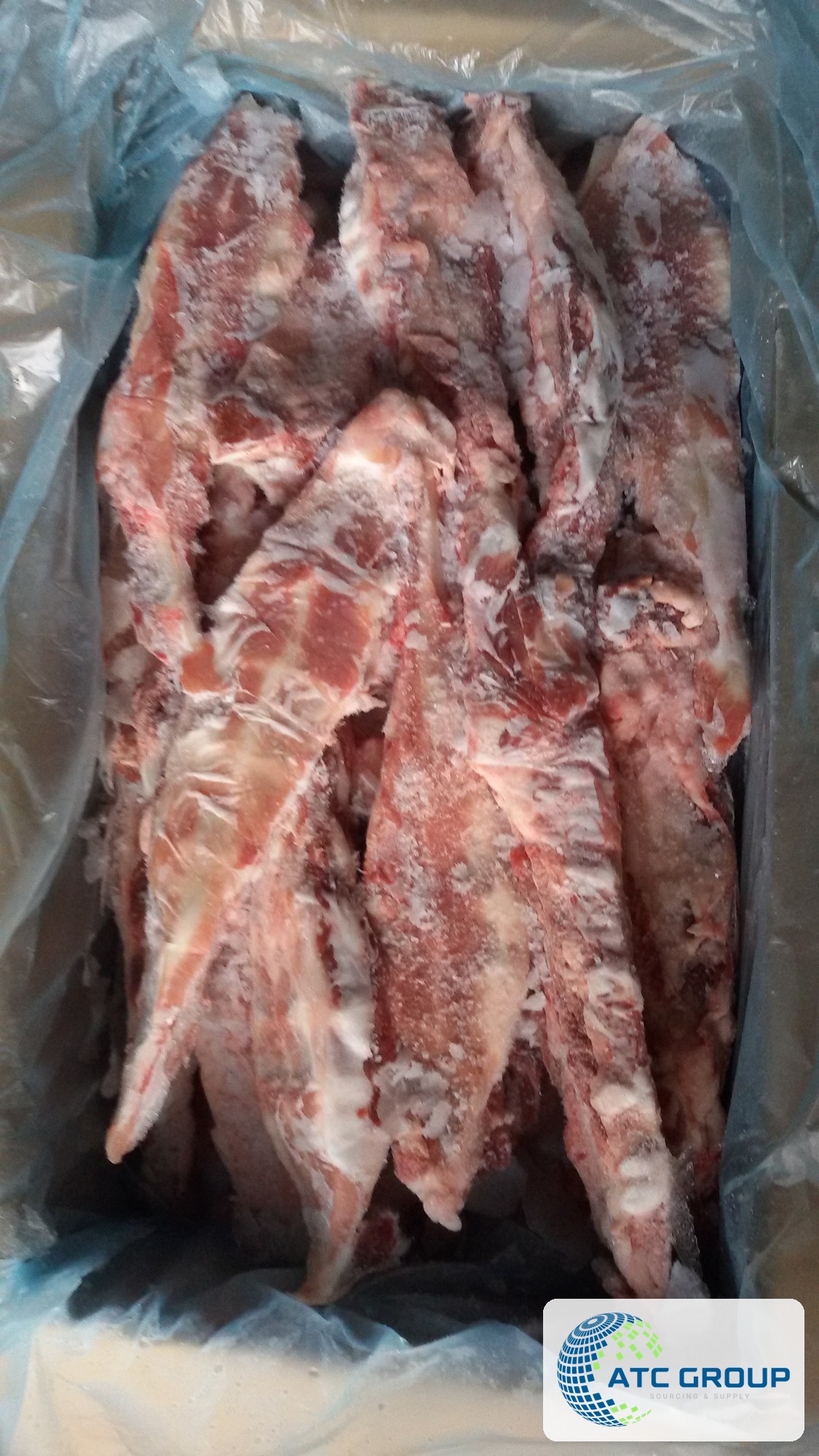 Sternums de porc congelés – emballage export