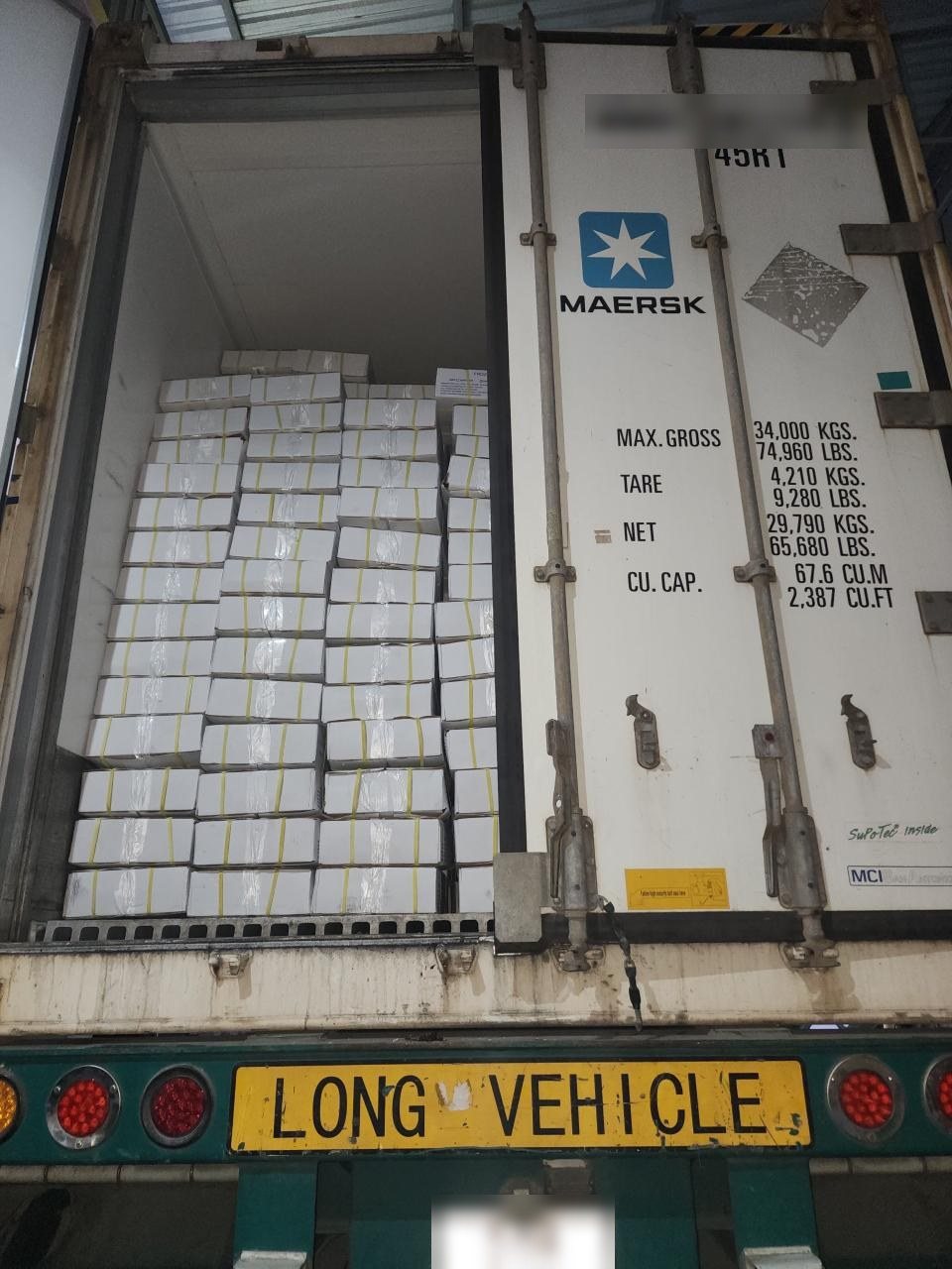 Loading frozen fish, Vietnam, March 2023