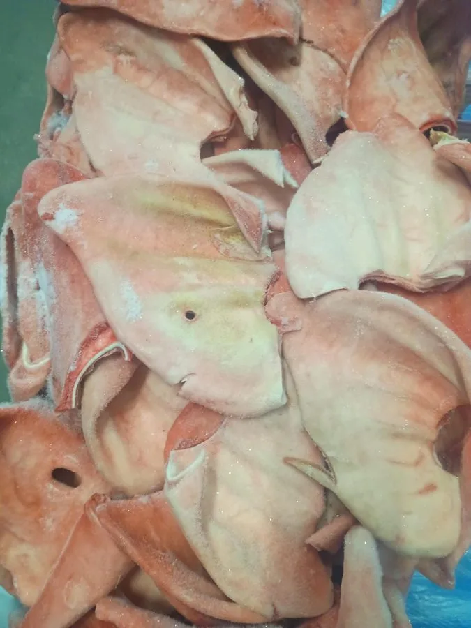 Frozen pork ears grade B – illustrative photo 1